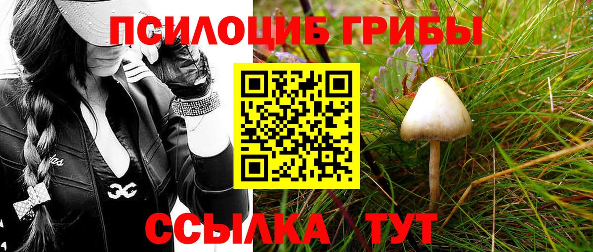 Псилоцибиновые грибы Psilocybine cubensis  Вход с VPN  Южно-Сахалинск 